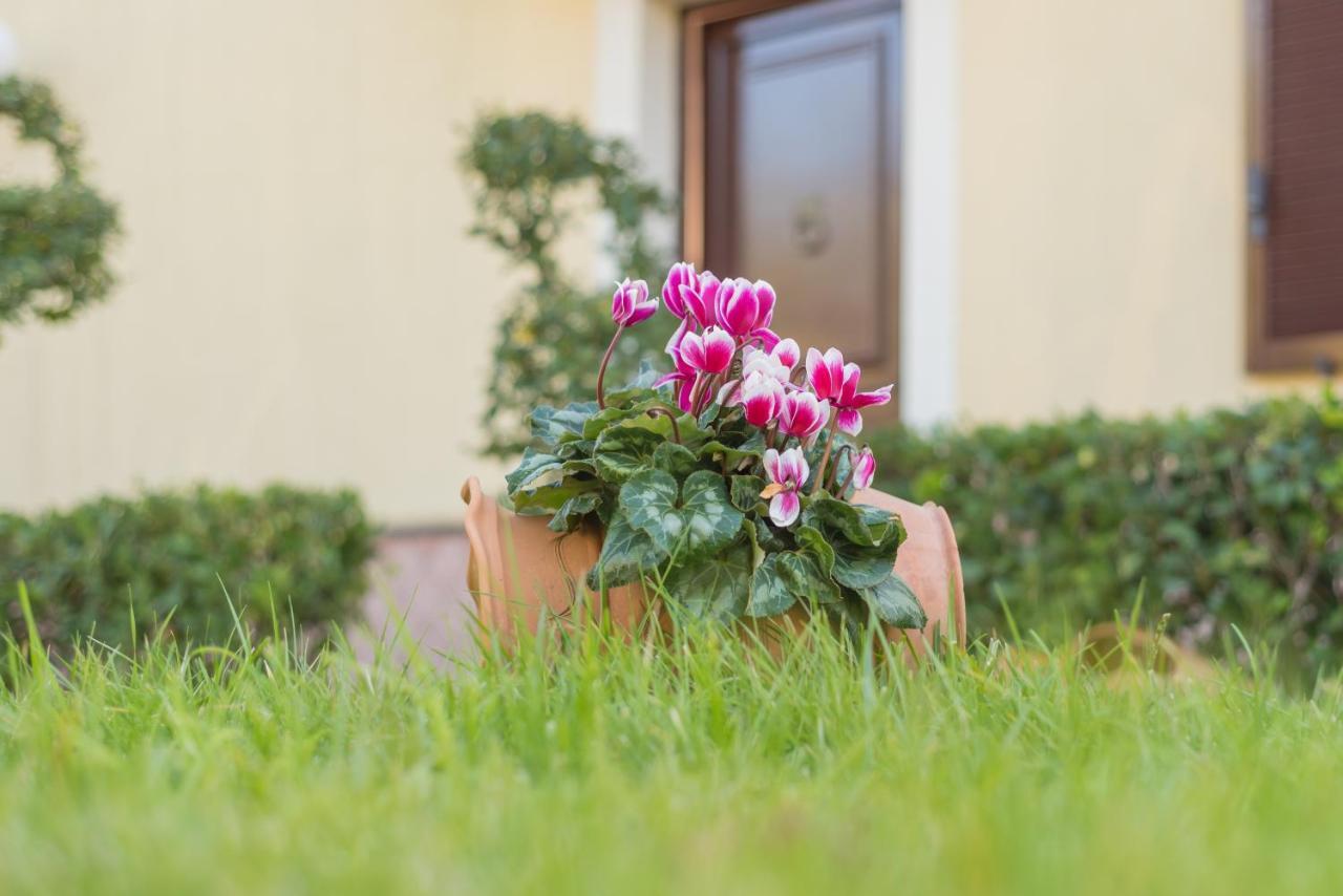 B&B Boutique Di Charme "Etna-Relax-Natura" Zafferana Etnea Exterior photo